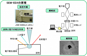 走査型電子顕微鏡-ｴﾈﾙｷﾞｰ分散型X線分光法の原理 | イビデンエンジニアリング